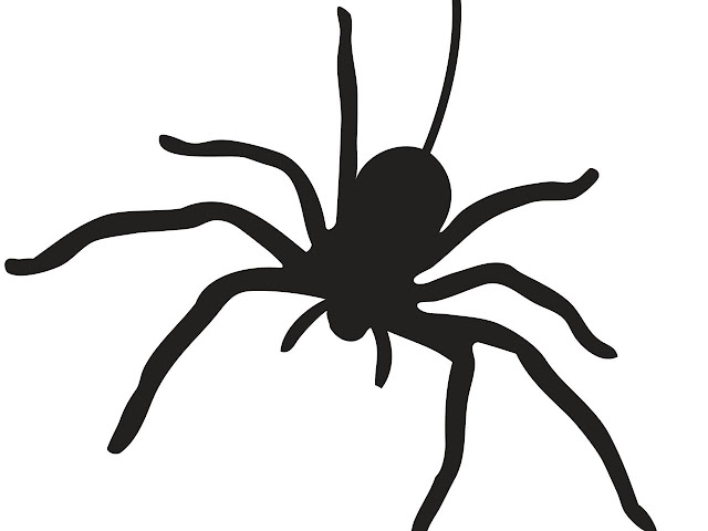 Easy spider stencil design for pumpkin carving