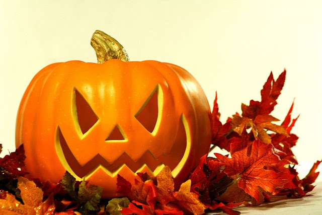 Best halloween Pumpkin Pictures desktop background HD Wallpapers