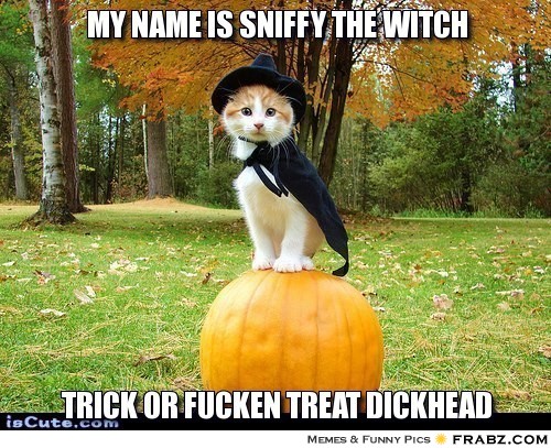 Funny halloween witch image cartoon quotes memes animated gif