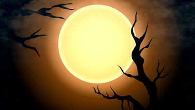 Full moon Halloween Hd Desktop background images and Pictures